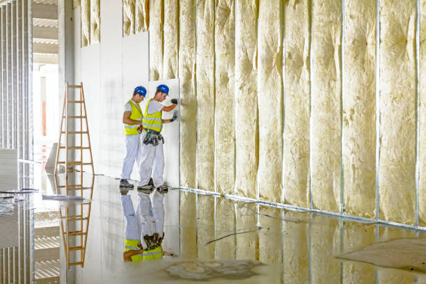 Best Residential Insulation in Trucksville, PA